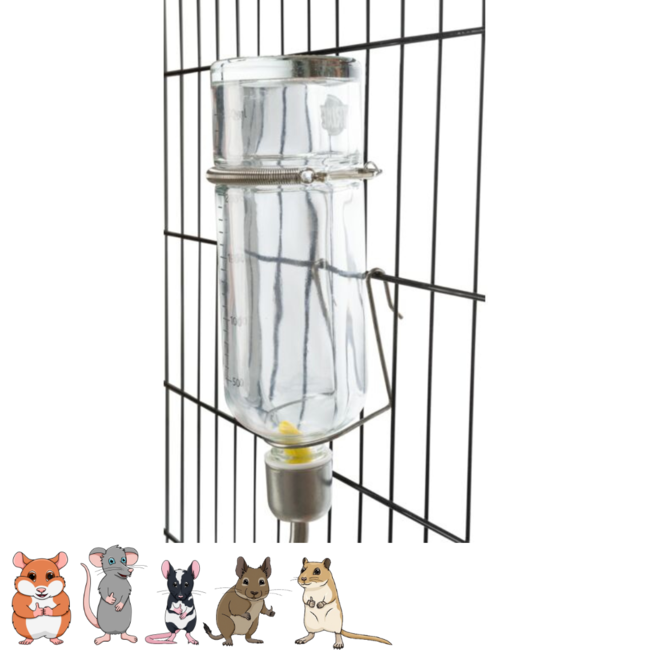 Glass water bottle for rodents with bracket - Glass - 250 ml