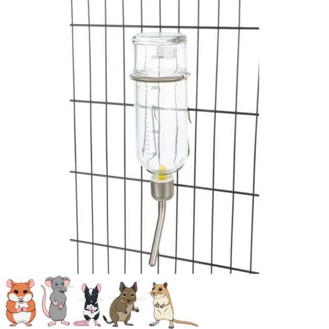 Glass Drinking Bottle 250 ml