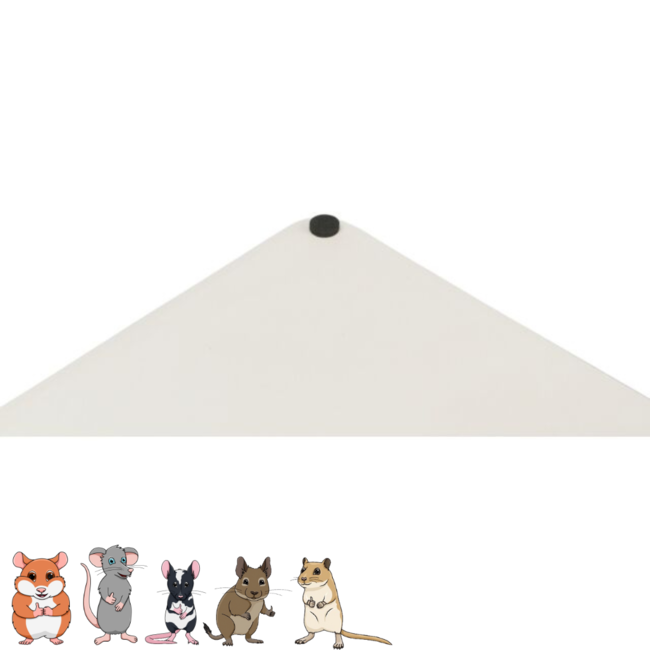 Trixie Koelplaat - Keramische koelplaat voor knaagdieren - 20 × 15 cm, blauw