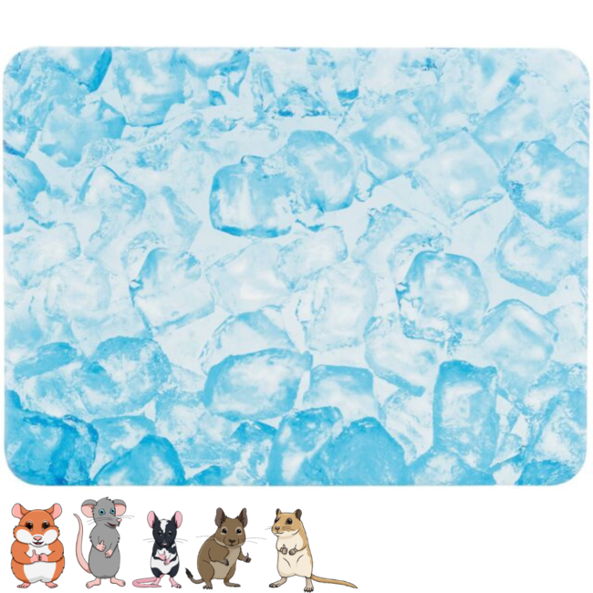 Koelplaat 20 × 15 cm, blauw