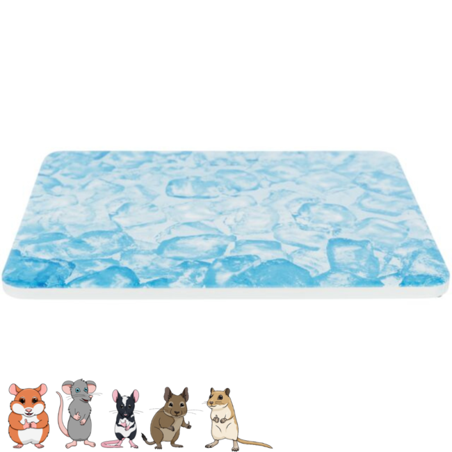 Trixie Koelplaat - Keramische koelplaat voor knaagdieren - 20 × 15 cm, blauw