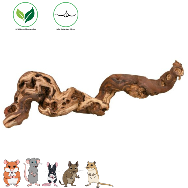 Grape Branch 30-40 cm