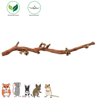 Trixie Grape branch 40-60 cm
