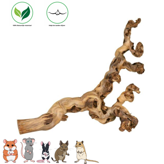 Grapevine Branch 55-80 cm