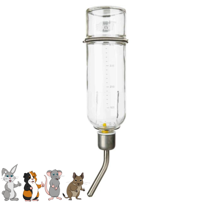 Glass Drinking Bottle 500 ml
