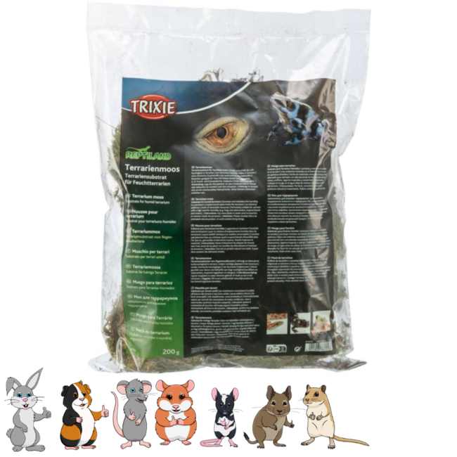 Terrarium Moss 200g