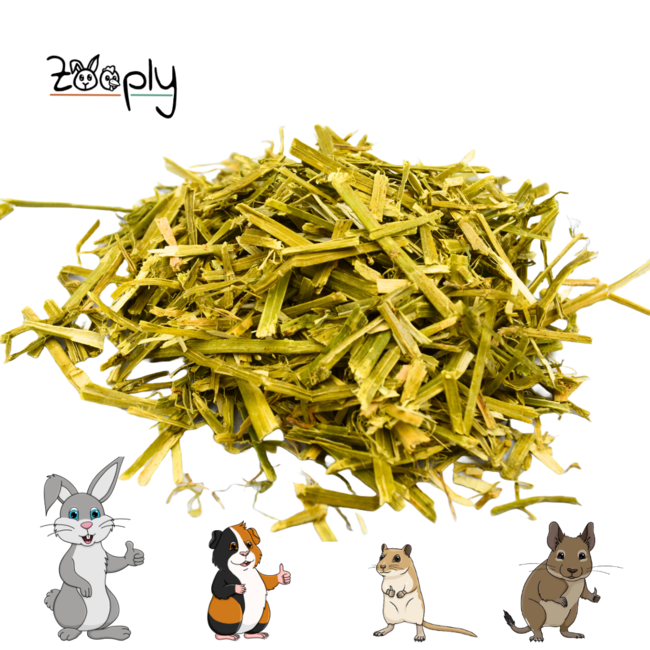 Zooply Luzerne - Dried herbs for rabbits and rodents - Healthy snack