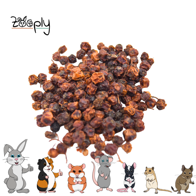 Zooply Rowan Berries - Dried fruit for rabbits and rodents - Healthy snack