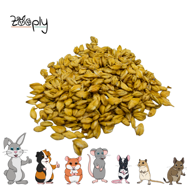 Zooply Spelt - Dried herbs for rabbits and rodents - Healthy snack