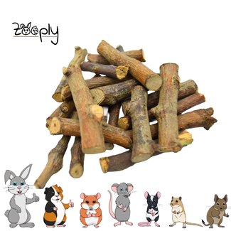 Zooply Zooply Parent branches