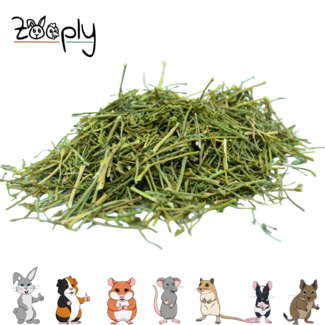 Zooply Parsley Stems