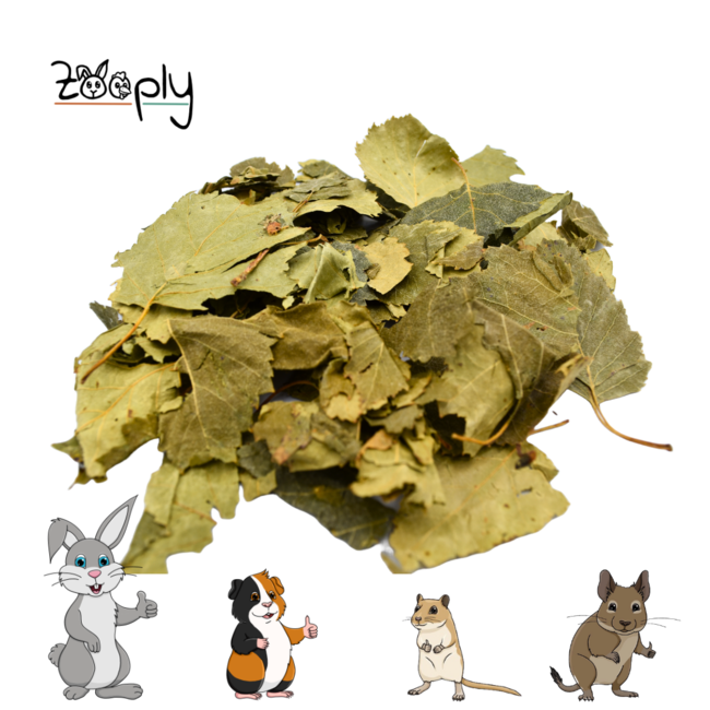 Zooply Apple Leaf - Dried leaves for rabbits and rodents - Healthy snack