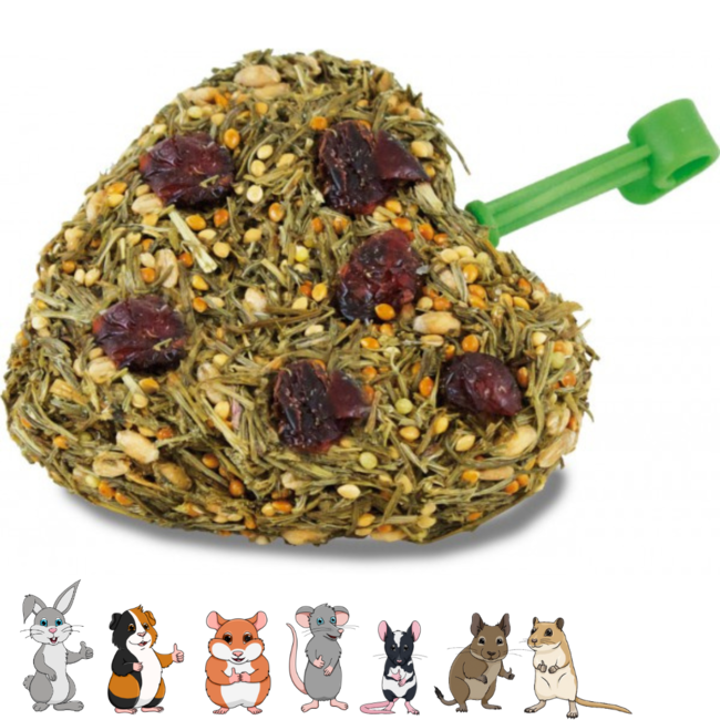 JR Farm Cherry Heart Snack - Snack for Rabbits and Rodents - 85 grams