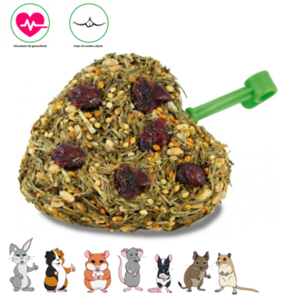 JR Farm Cherry Heart snack 85 grams