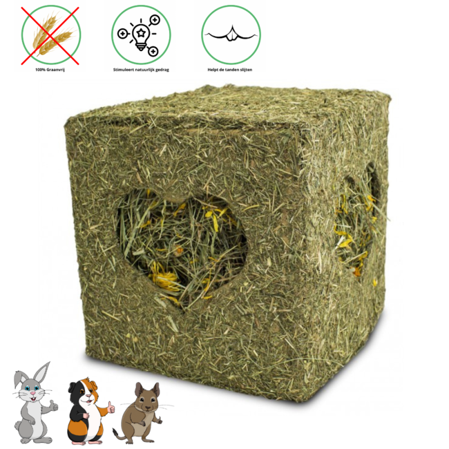 JR Farm Rodent Hay Block with Flowers, 450 grams