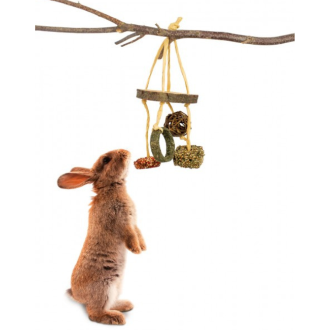 JR Farm Snack Hanger 100g