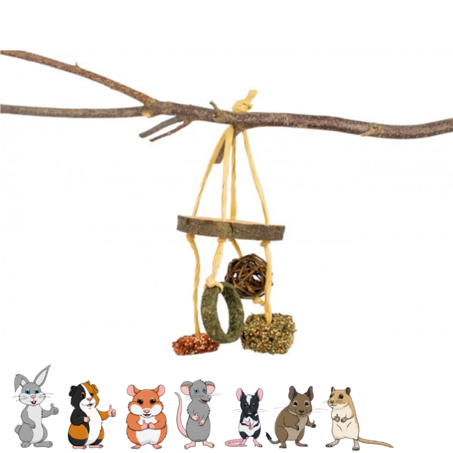 JR Farm Snack Hanger - Snack for rabbits and rodents - 100 grams
