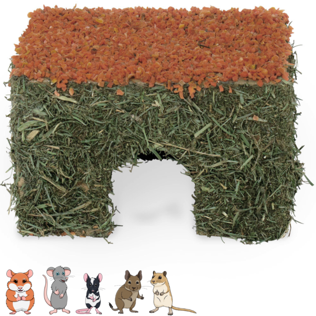 JR Farm Hooihuis met wortel - Snack voor knaagdieren - 75 gram