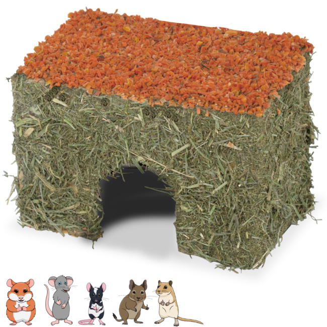 JR Farm Rodent Hay House with Carrot Small, 75 grams