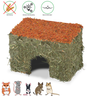 JR Farm JR Farm Rodent Hay House with Carrot Small, 75 grams