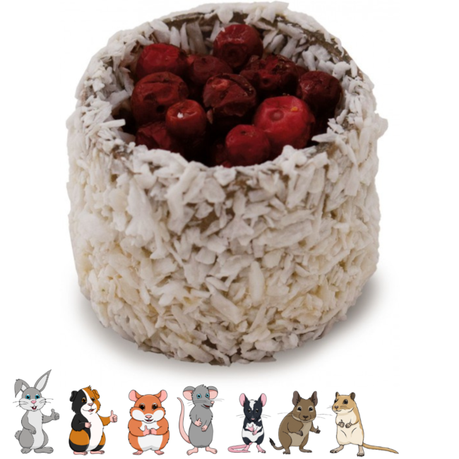 Sushi rolletjes - Snack voor konijnen en knaagdieren - 8 stuks - 100 gram