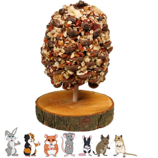 JR Farm Fruit Tree with Fruit and Seeds - Snack for Rabbits and Rodents - 270 grams