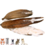 JR Farm Kapok Nut, 1 piece