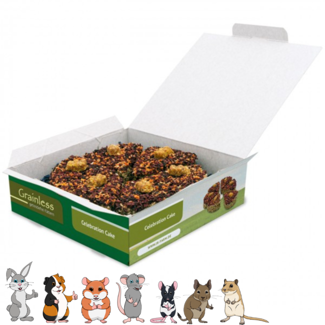 JR Farm Grain-Free Celebration Cake 330g