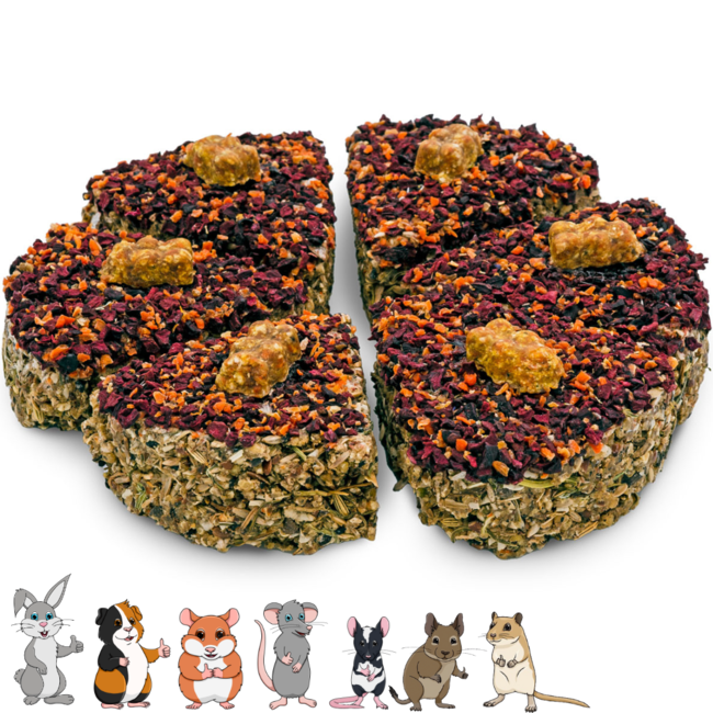 JR Farm Grain-Free Party Cake - Snack for Rabbits and Rodents - 330 grams