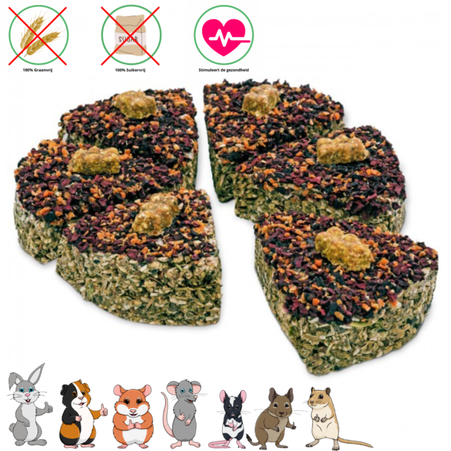 JR Farm Grain-Free Celebration Cake 330g