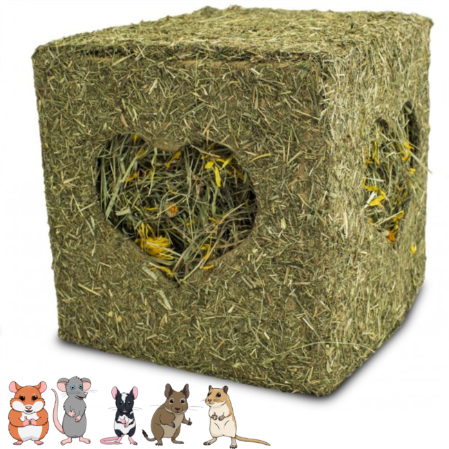JR Farm rodent hay block with mealworms