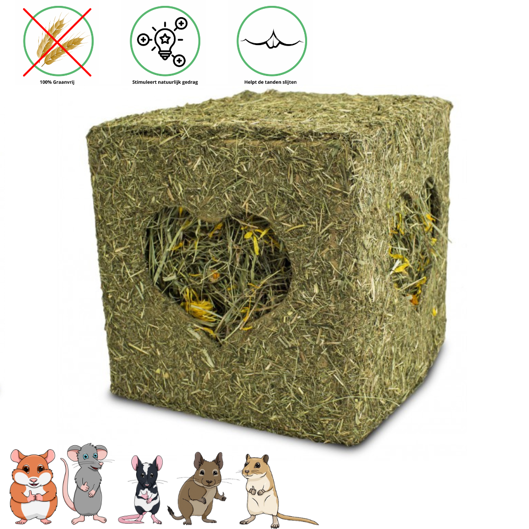 JR Farm Hooiblok met meelwormen - Snack voor knaagdieren - 125 gram
