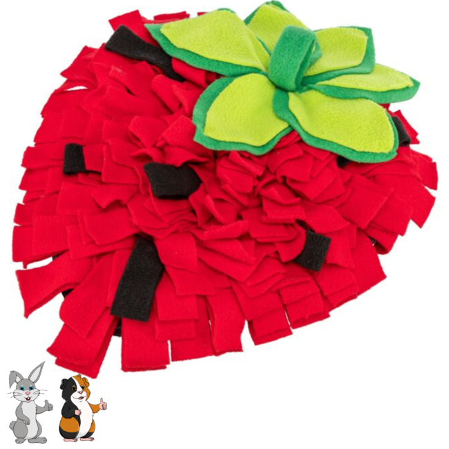 Snuffelmat in vorm van een aardbei - Verrijkingspeelgoed voor konijnen en knaagdieren - 33 × 40 cm- Rood