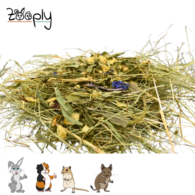 Zooply Herb Hay with Meadow Field Mix - Hay fresh from the field - Conveniently packaged - 1 kg