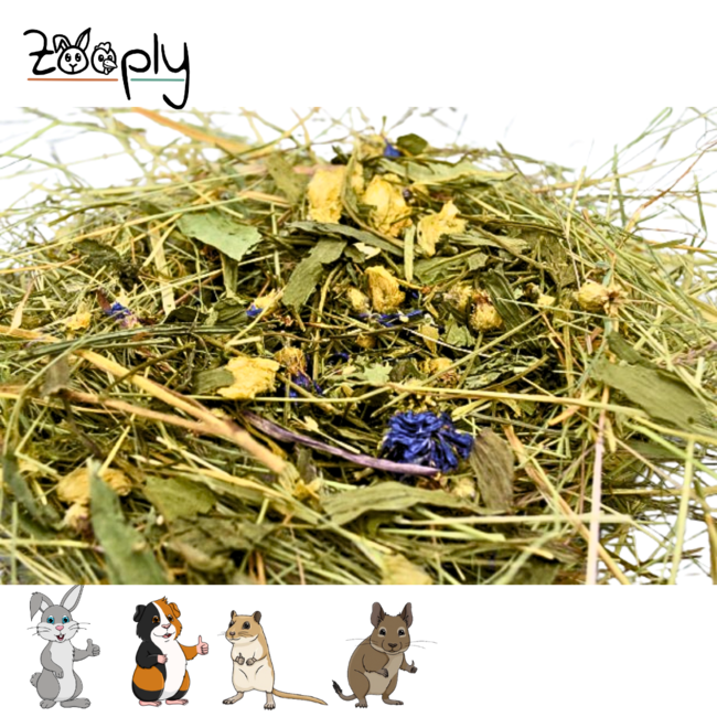 Zooply Kruidenhooi met Weideveldmix - Hooi vers van 't land - Gemakkelijk verpakt - 1 kg