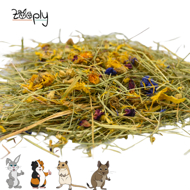 Zooply Kruidenhooi met verschillende bloemen - Hooi vers van 't land - Gemakkelijk verpakt - 1 kg