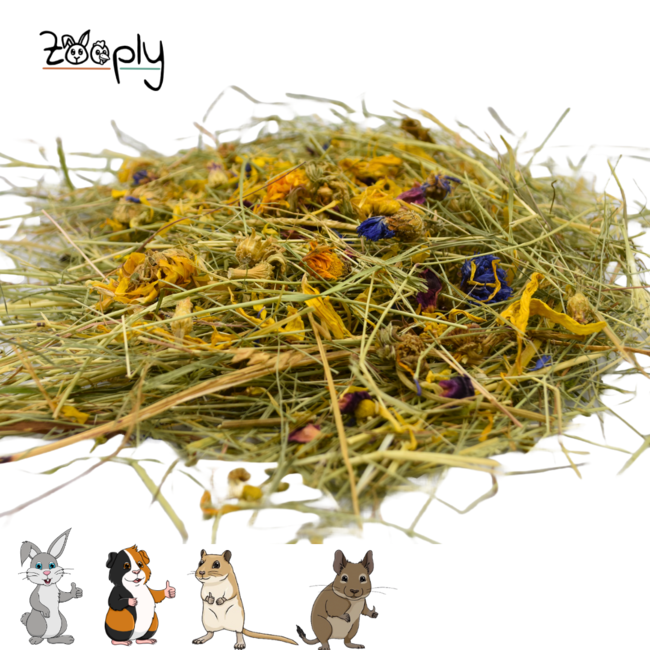 Zooply Herb Hay with different flowers - Hay fresh from the field - Easily packaged - 1 kg