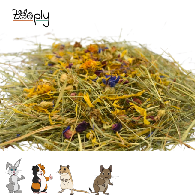 Zooply Kruidenhooi met verschillende bloemen - Hooi vers van 't land - Gemakkelijk verpakt - 1 kg