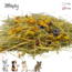 Zooply Zooply Hay with various flowers - 5 kg