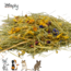 Zooply Herb Hay with different flowers - Hay fresh from the field - Easily packaged - 5 kg