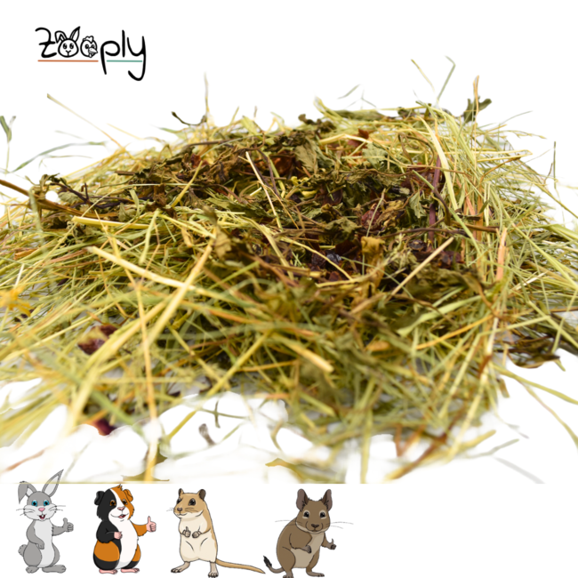 Zooply Herb Hay with Rosehip and Mint - Hay fresh from the field - Easily packaged - 1 kg