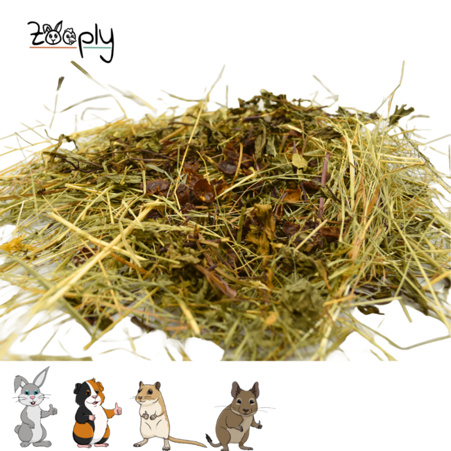 Zooply Herbal Hay with Rosehip and Mint - Hay fresh from the field - Easily packaged - 5 kg