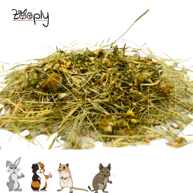 Zooply Kruidenhooi met verschillende bloemen - Hooi vers van 't land - Gemakkelijk verpakt - 1 kg