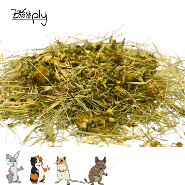 Zooply Herbal Hay with various flowers - Hay fresh from the field - Conveniently packaged - 1 kg
