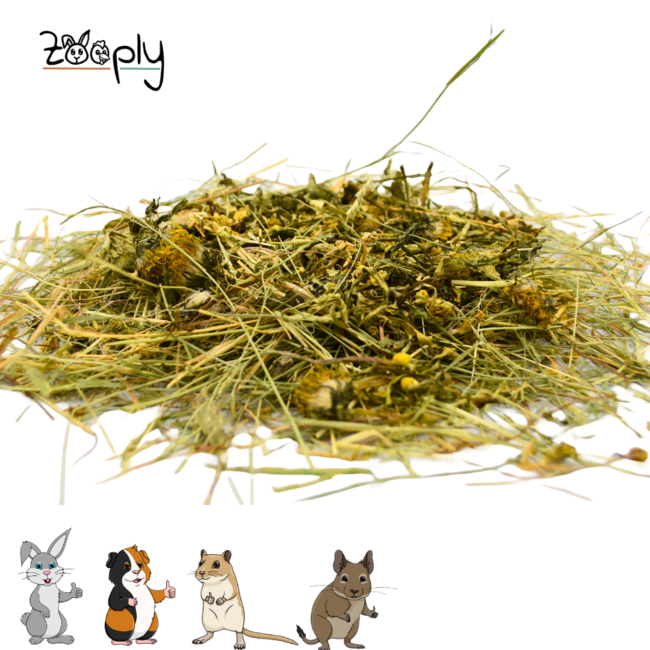 Zooply Herb Hay with Chamomile and Dandelion Leaf - Hay fresh from the field - Easily packaged - 5 kg