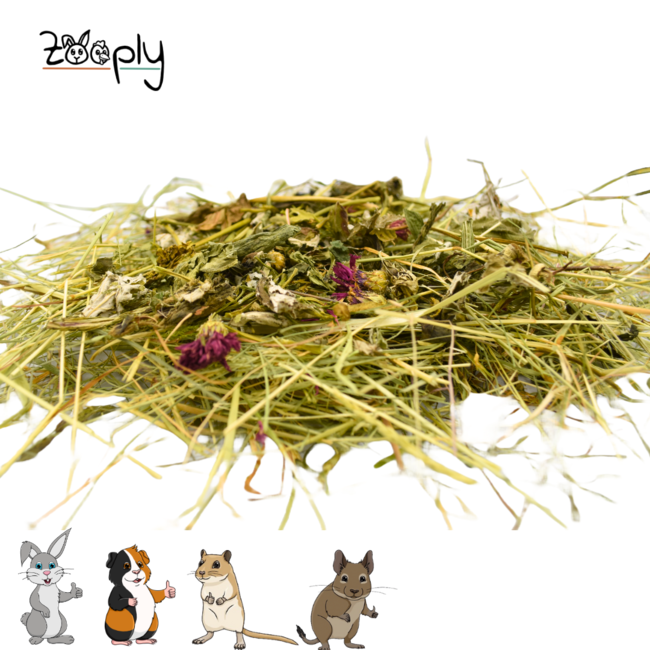 Zooply Herbal Hay with Leaves & Herb Mix - Hay fresh from the field - Conveniently packaged - 1 kg