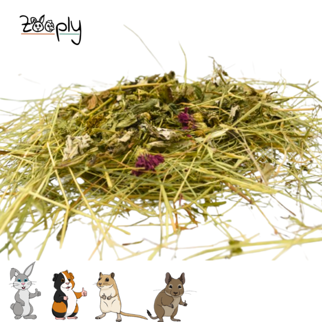 Zooply Kruidenhooi met Blad & Kruidenmix - Hooi vers van 't land - Gemakkelijk verpakt - 1 kg