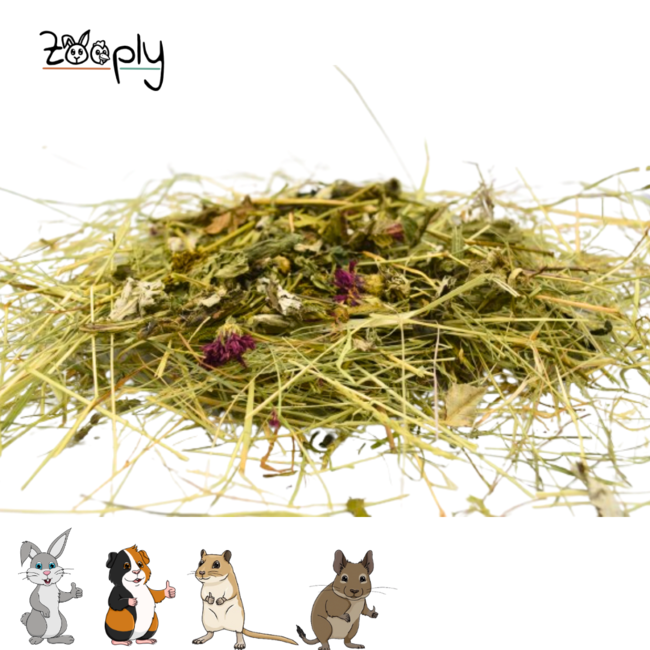 Zooply Herbal Hay with Leaves & Herb Mix - Hay fresh from the field - Conveniently packaged - 1 kg