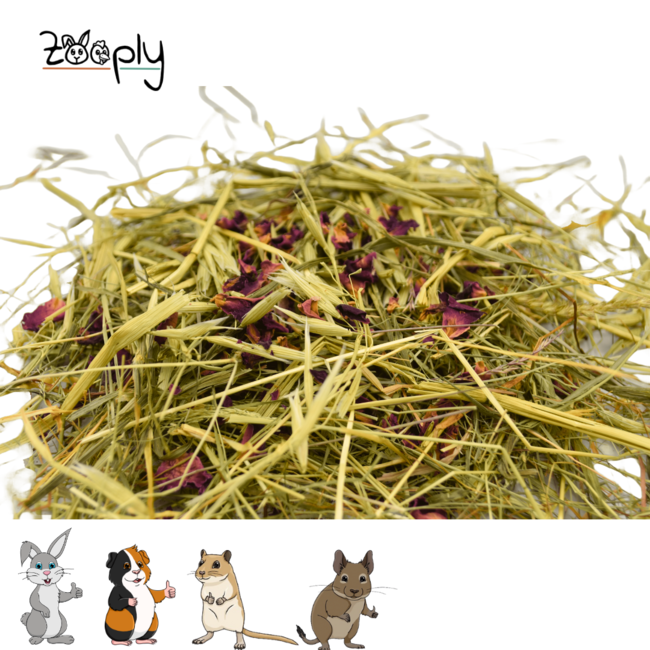 Zooply Herbal Hay with Oats and Roses - Hay fresh from the field - Easy to package - 5 kg