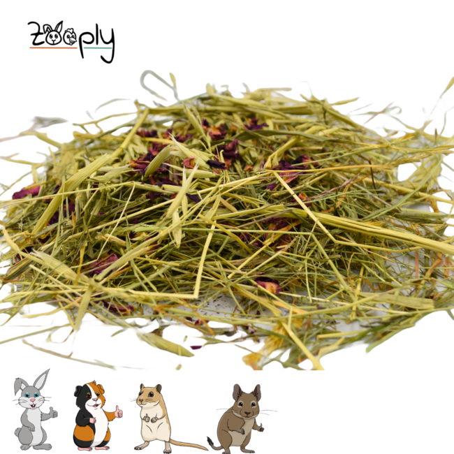 Zooply Kruidenhooi met Haver en Roos - Hooi vers van 't land - Gemakkelijk verpakt - 1 kg